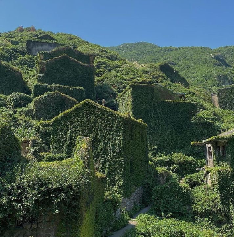 Смотрите, как выглядит заброшенное село-призрак, которое полностью поглотила природа: фото и видео